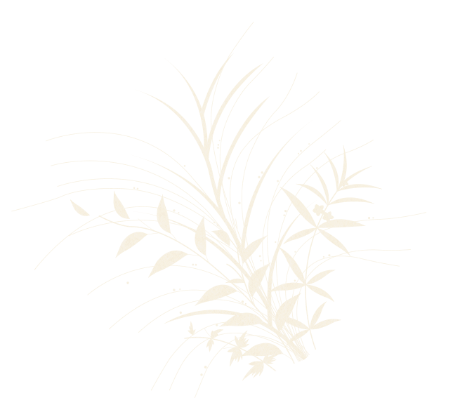 deco